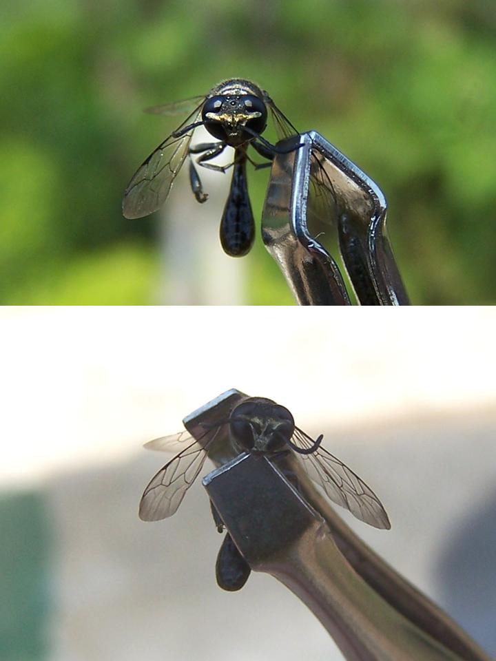 FIGURE 2 FIGURE 2